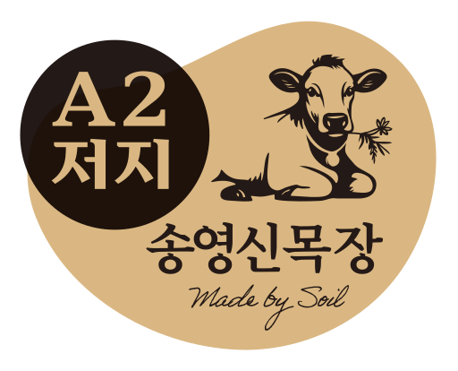 송영신목장 A2 저지 헤이밀크